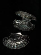 Shell Trinket Case